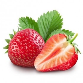Fragola